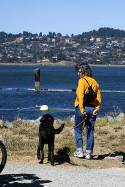 SCV Family Home Prices Go North After Nine Year Dip